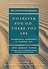 Wherever You Go, There You Are by Jon Kabat-Zinn