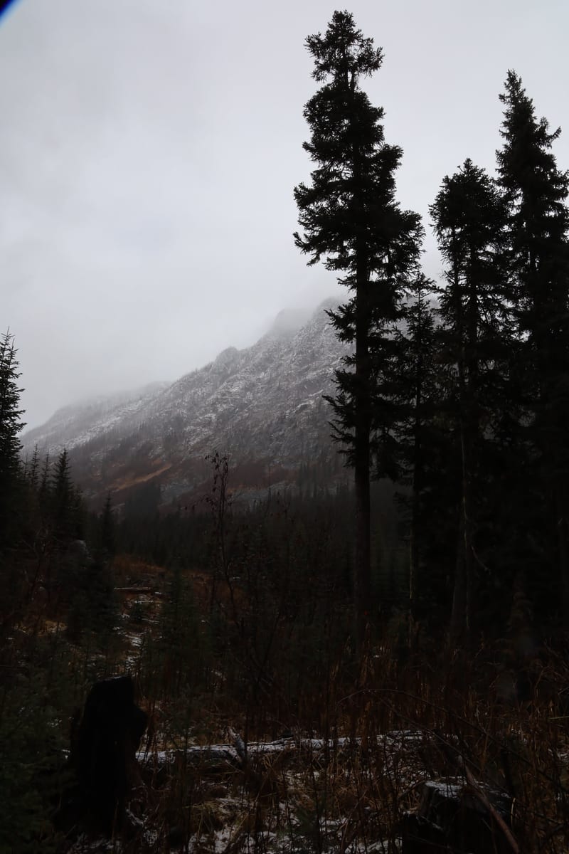 Photo from 2019